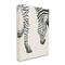 Stupell Industries Zebra Grazing Striped Safari Animal Hoof Detail Canvas Wall Art
